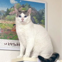 ラムネ