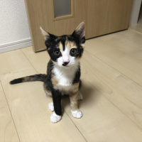 にこ