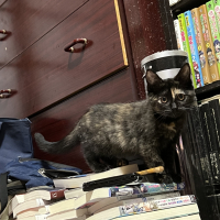 むぎ