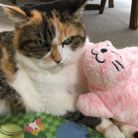 あさと