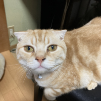 金次郎
