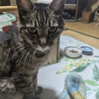 アーモンド