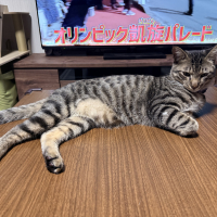 数珠丸