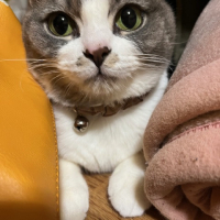 ちか