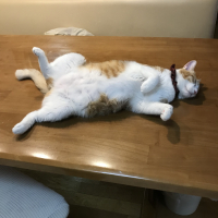 KEE