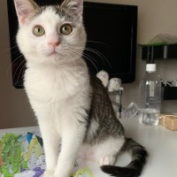 権三(ごんぞう)