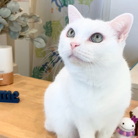 Ｍarie（マリー）