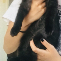 NOX