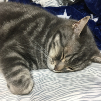 みおん