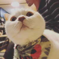 もも