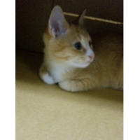 ひめちゃん
