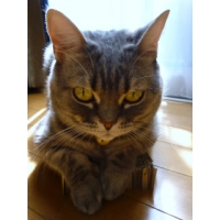 ちゃこ