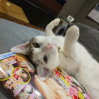 てん