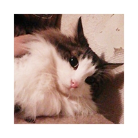 Meteor / ミティア