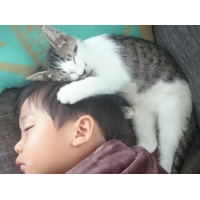 カンペイ