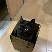 この