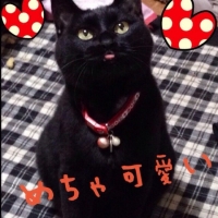 チョコ