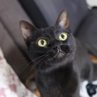 ルーナ