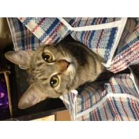 サブ
