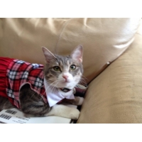 七七七（ナミ）