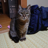 ゆき