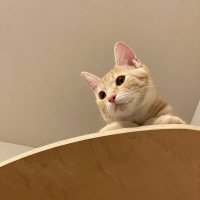 レオ