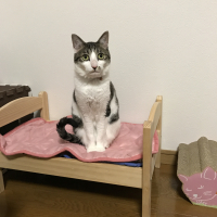 美月…みづき…