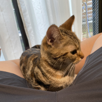 るる