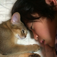 ちぃ