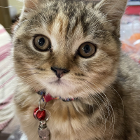 ぐらん