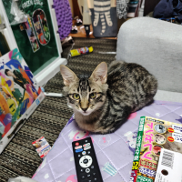 おいも