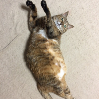 ミュー