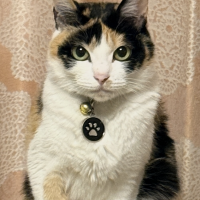 ミミ