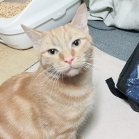 コタロウ