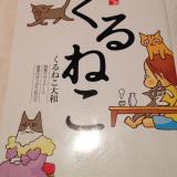 レジンで猫ブローチ - テタテノネコカツさんの猫日記
