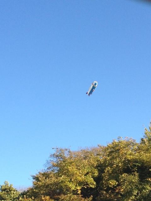 空飛ぶスヌーピー そして タテガミ Nibulusさんの猫ブログ ネコジルシ