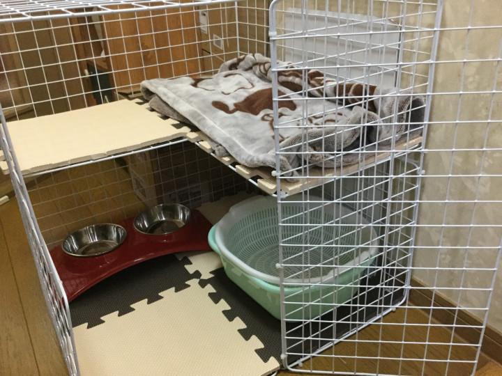 保護 手作りケージ 小さめ フクタロウさんの猫ブログ ネコジルシ