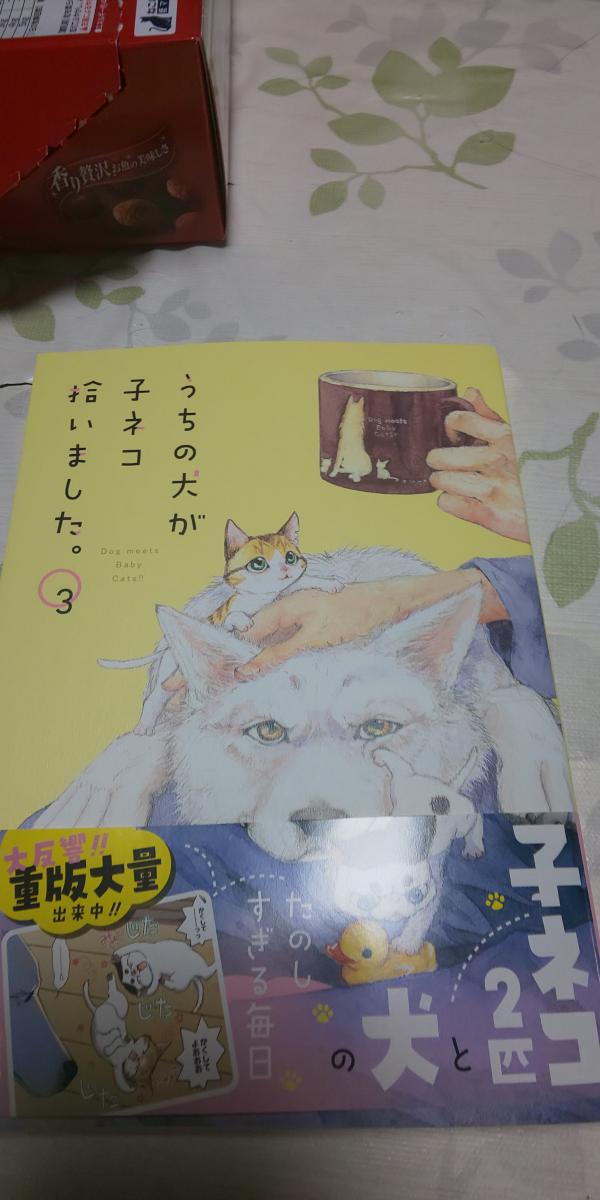 今日は漫画じるし かなぁ みゆと猫 Sのママさんの猫ブログ ネコジルシ