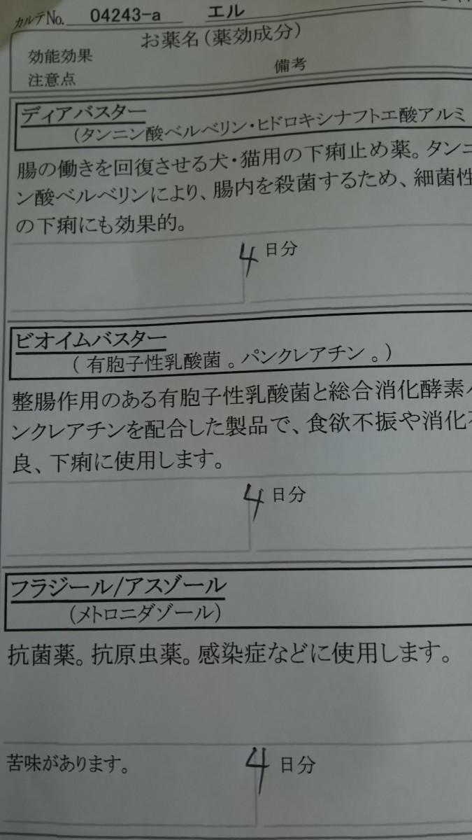 初めての点滴 投薬 ストライプさんの猫ブログ ネコジルシ