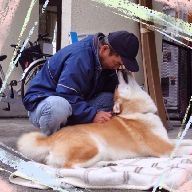 なぜか削除される不思議な動物愛護に関する記事 まのんさんの猫ブログ ネコジルシ