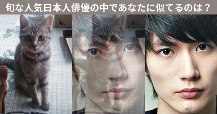 便乗しました O ひめ編 ヒメッコさんの猫ブログ ネコジルシ