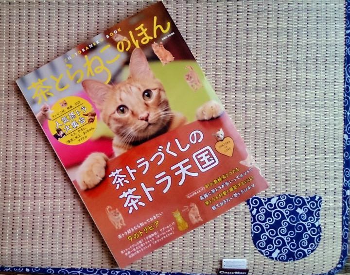 茶猫ページ b5b3ad8d8a7b43e44f941b998b17d1