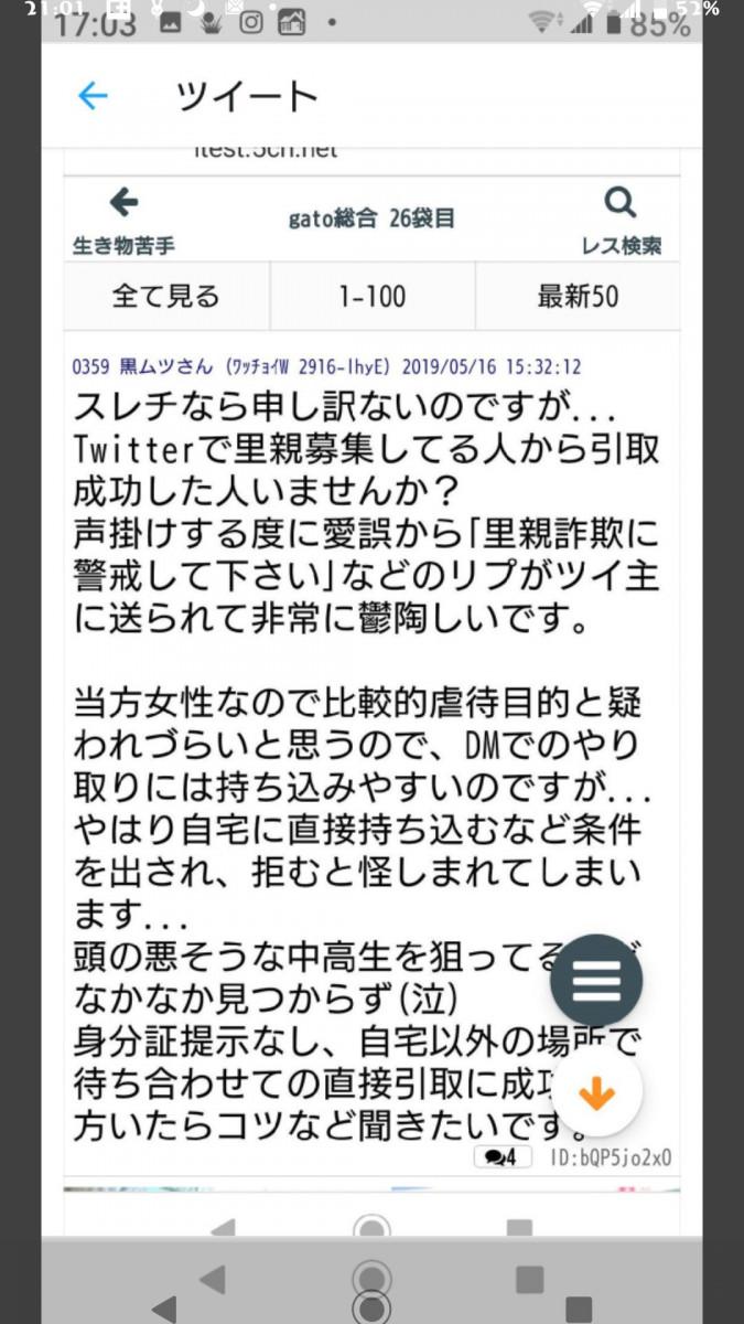 里親詐欺に要注意(注意喚起) - 江美さんの猫日記