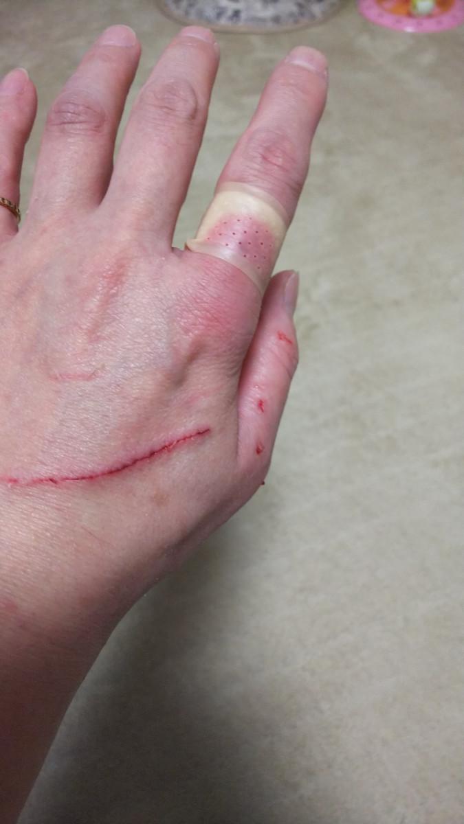 失敗 トイにゃんさんの猫ブログ ネコジルシ