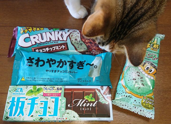 チョコミン党 猫無し コナニャーさんの猫ブログ ネコジルシ
