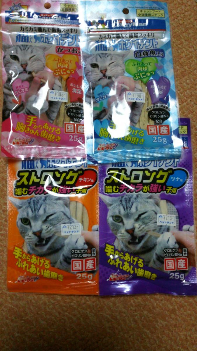 歯磨きタイムミロちゃん42日目 モコっしゅさんの猫ブログ ネコジルシ