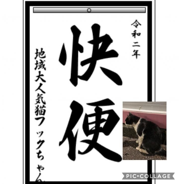 私もやってみたよ書き初めメーカー 猫姉さんさんの猫ブログ ネコジルシ