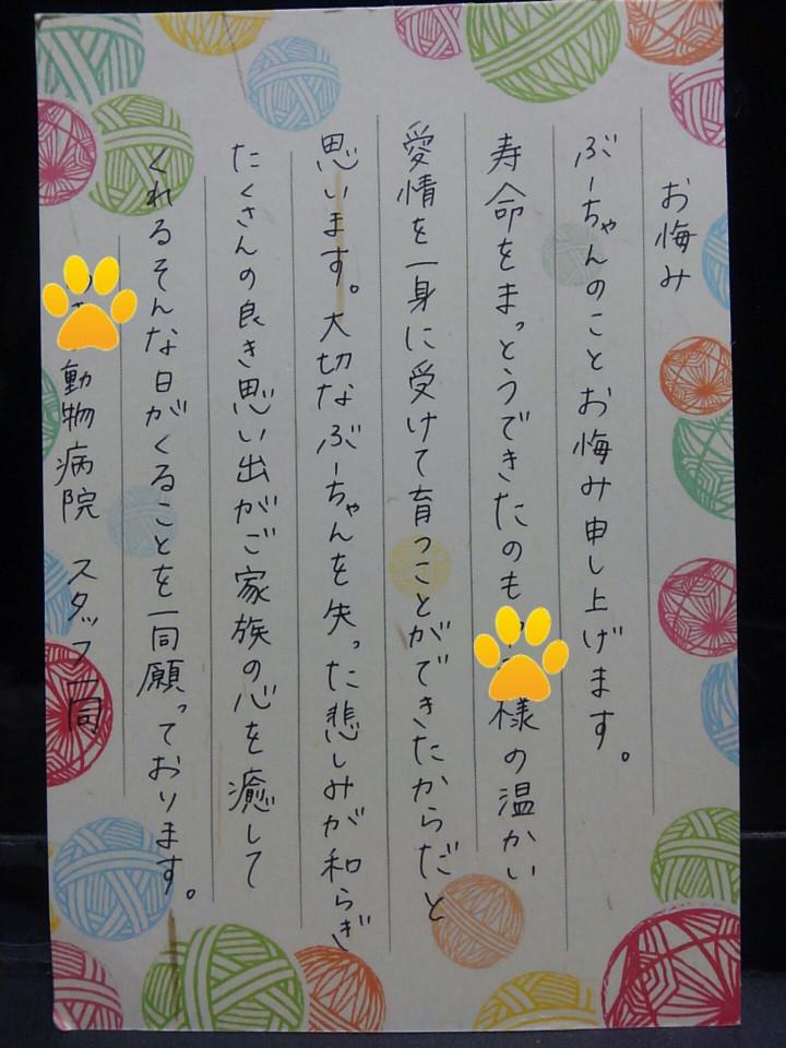 やさしい気持ち みるまきさんの猫ブログ ネコジルシ