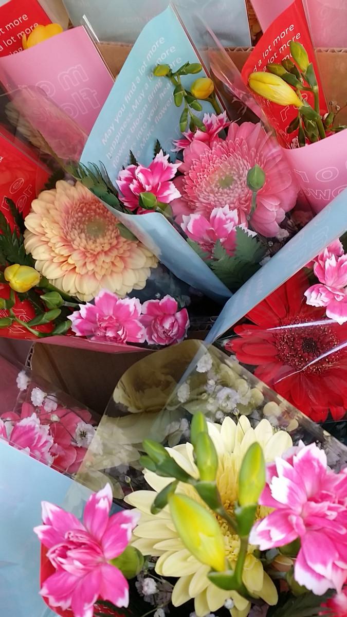 猫と花 Suica173さんの猫ブログ ネコジルシ