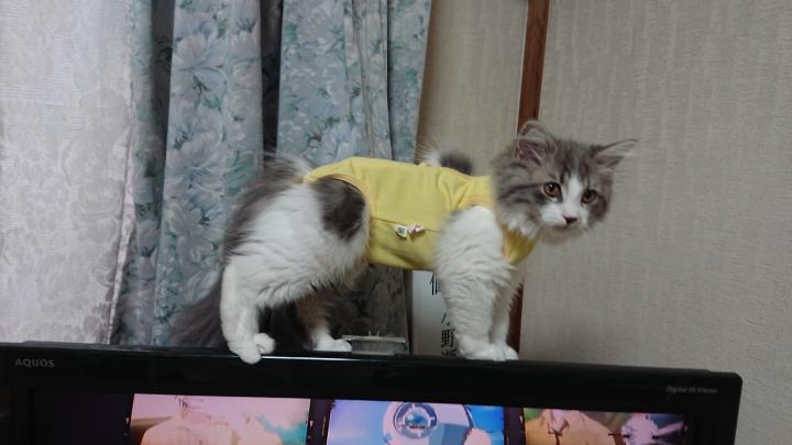   u2026     (    ) -               -      